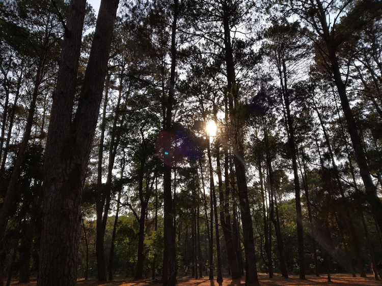 Pyin Oo Lwin